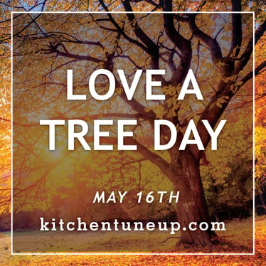 05-May-16-LoveATreeDay.jpg